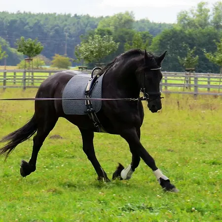 Appartement Lerchenhof In