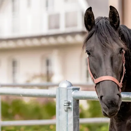 Apartment Lerchenhof