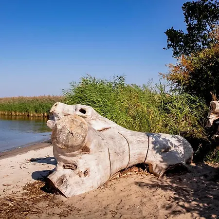 Lerchenhof In Reestow