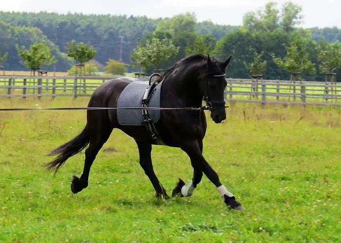 Appartement Lerchenhof In