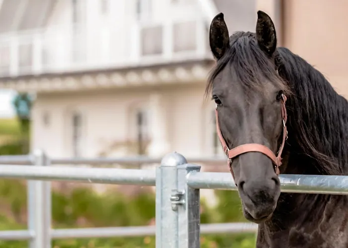 Appartement Lerchenhof In