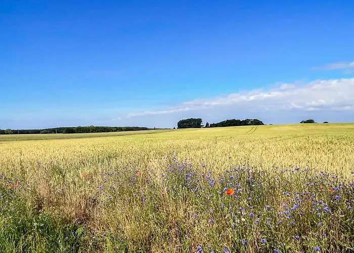 Lerchenhof In Reestow