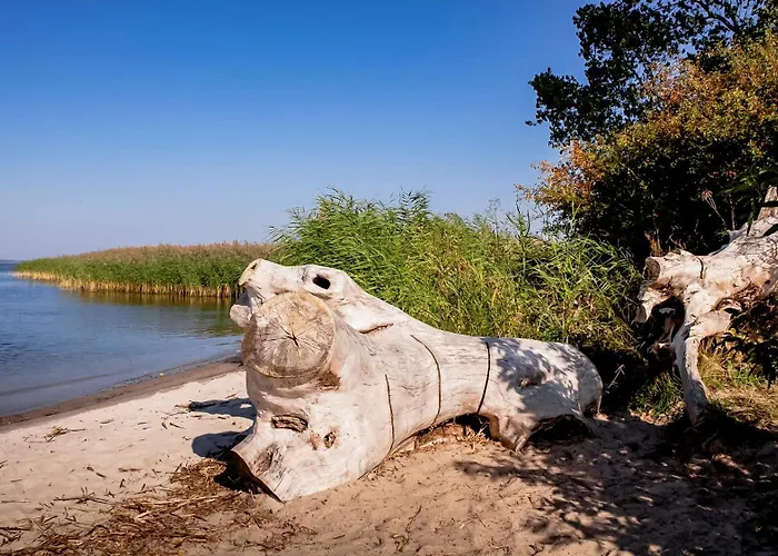 Lerchenhof In Reestow